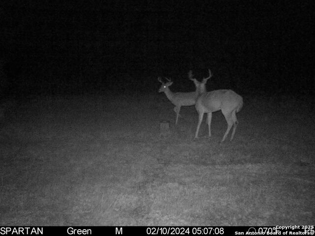 3305 Cr 129, Pawnee, Texas image 5