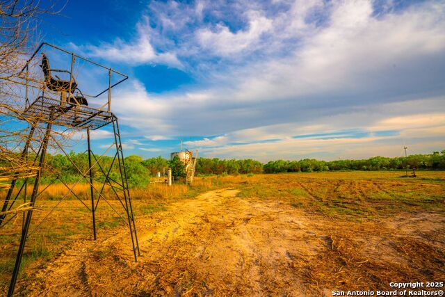 3305 Cr 129, Pawnee, Texas image 8
