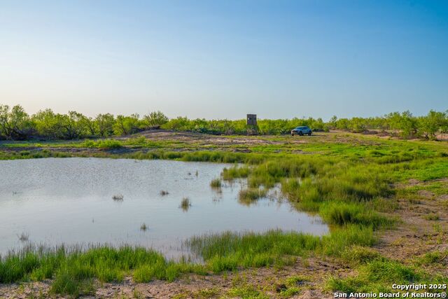 Fm 1688, Crystal City, Texas image 10