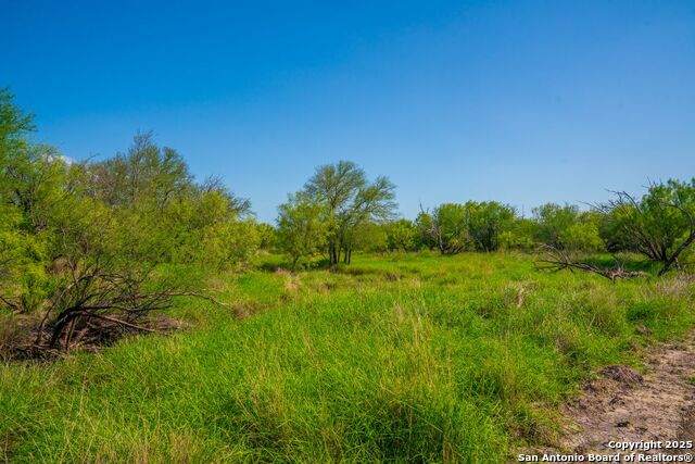 Fm 1688, Crystal City, Texas image 23