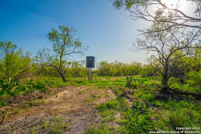 Fm 1688, Crystal City, Texas image 31