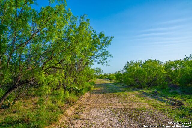 Fm 1688, Crystal City, Texas image 32