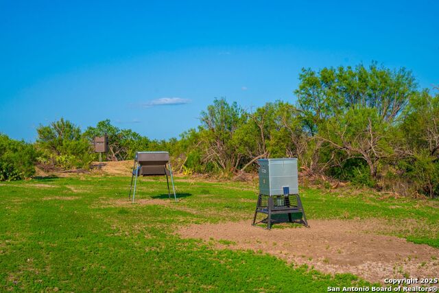 Fm 1688, Crystal City, Texas image 33