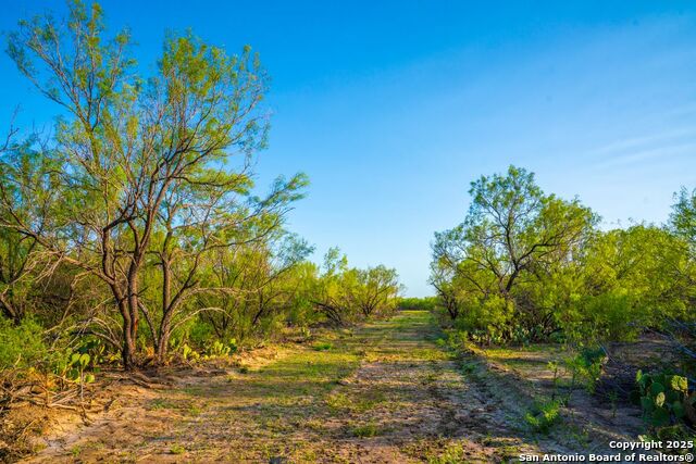 Fm 1688, Crystal City, Texas image 37