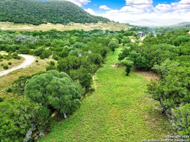 3695 Rio Hondo, Tarpley, Texas image 37
