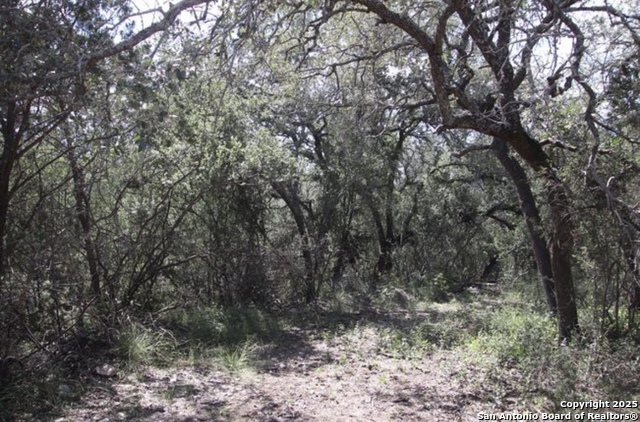 0000 Rocksprings, Rocksprings, Texas image 26