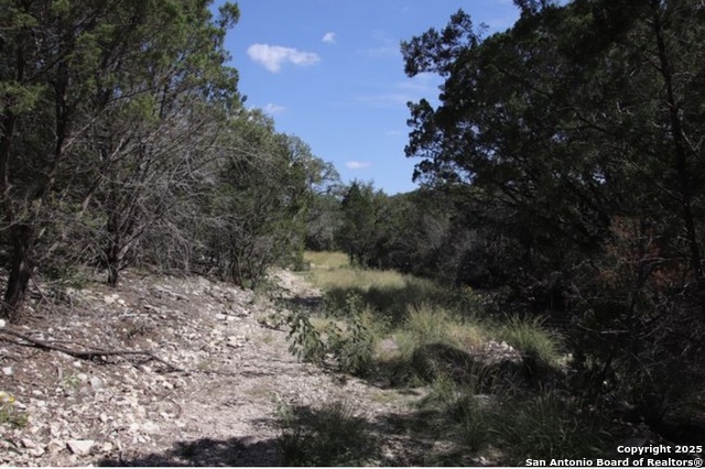 0000 Rocksprings, Rocksprings, Texas image 28