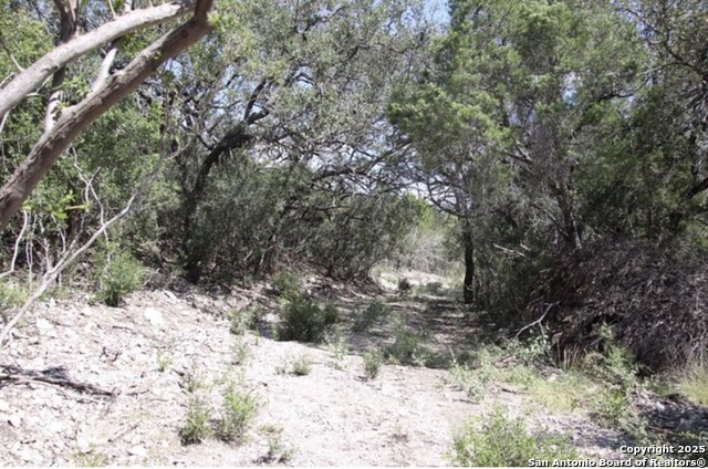 0000 Rocksprings, Rocksprings, Texas image 33