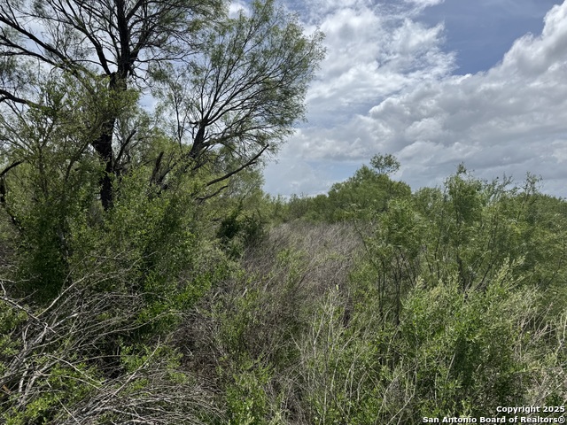County Rd 4006, Crystal City, Texas image 10