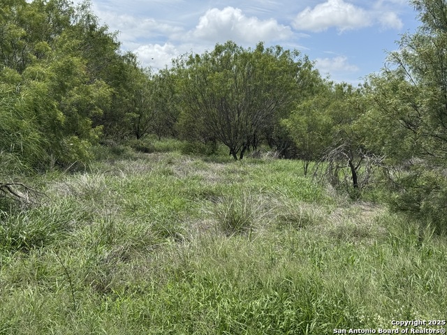 County Rd 4006, Crystal City, Texas image 11