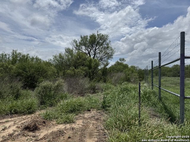 County Rd 4006, Crystal City, Texas image 12