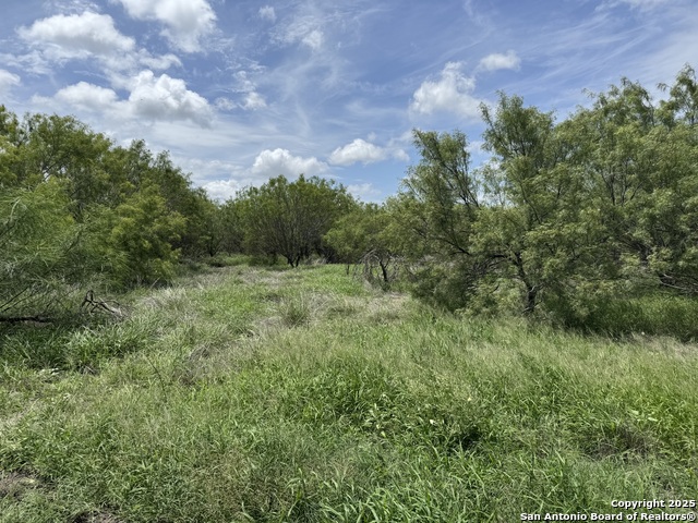 County Rd 4006, Crystal City, Texas image 13