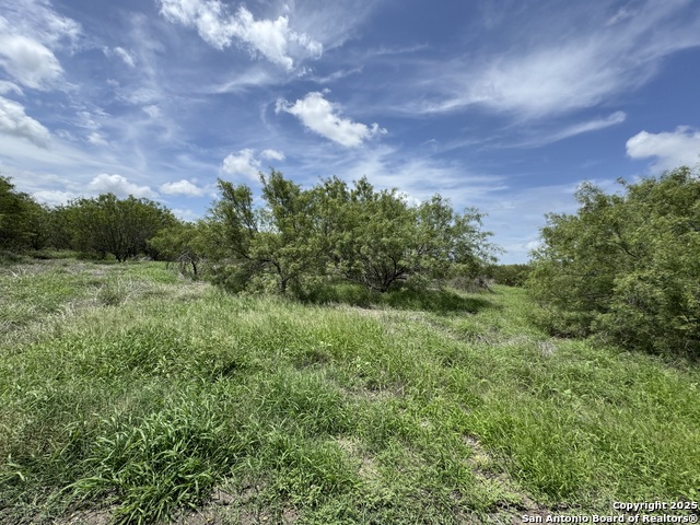 County Rd 4006, Crystal City, Texas image 14