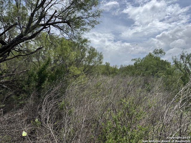 County Rd 4006, Crystal City, Texas image 15