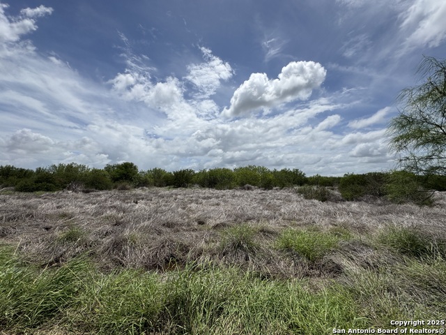 County Rd 4006, Crystal City, Texas image 16