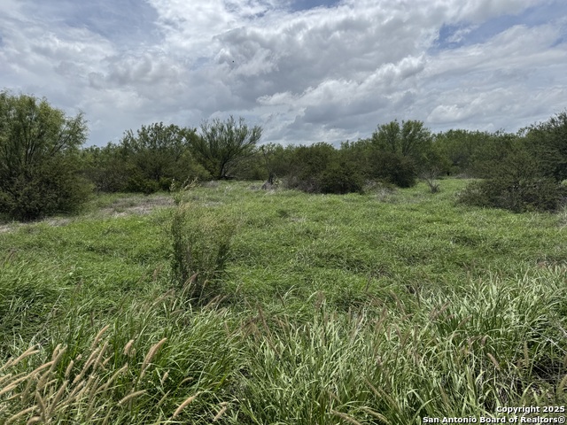 County Rd 4006, Crystal City, Texas image 17