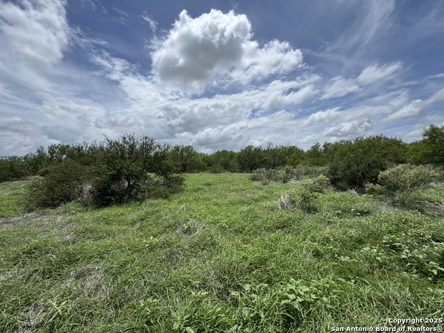 County Rd 4006, Crystal City, Texas image 18