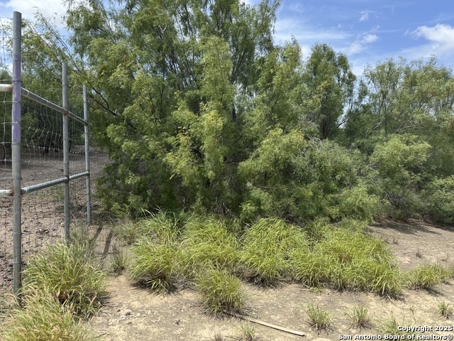 County Rd 4006, Crystal City, Texas image 19