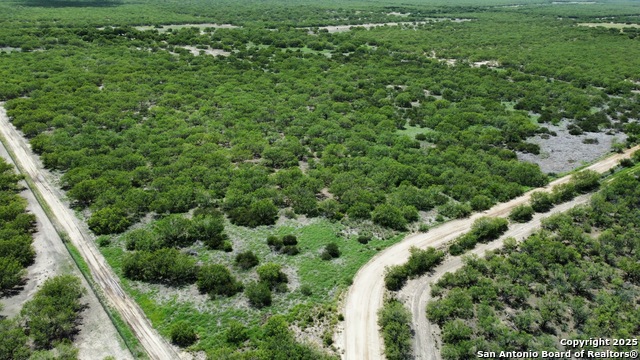 County Rd 4006, Crystal City, Texas image 21