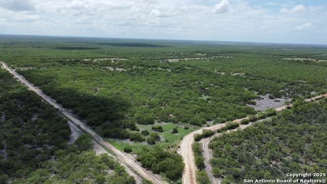 County Rd 4006, Crystal City, Texas image 22