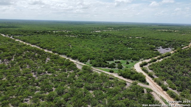 County Rd 4006, Crystal City, Texas image 23