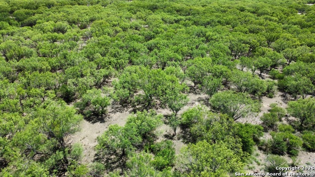 County Rd 4006, Crystal City, Texas image 27