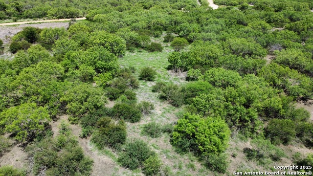 County Rd 4006, Crystal City, Texas image 28