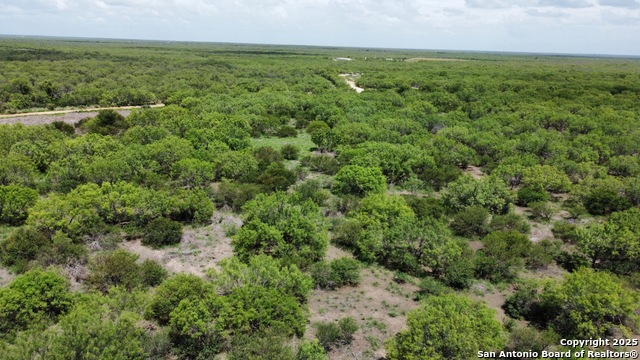 County Rd 4006, Crystal City, Texas image 29