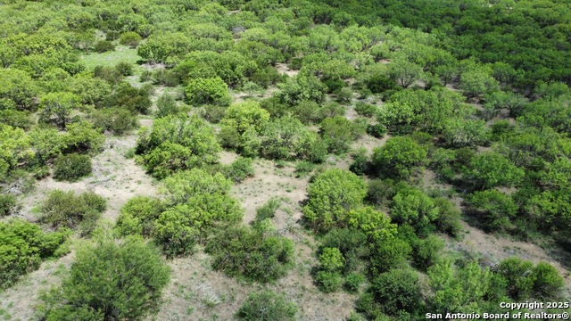County Rd 4006, Crystal City, Texas image 30