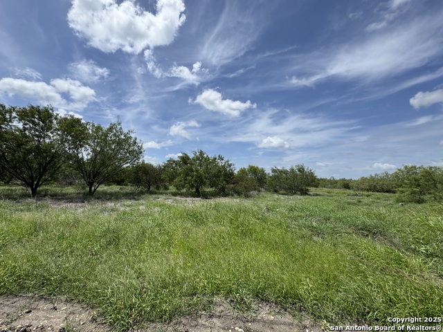 County Rd 4006, Crystal City, Texas image 4