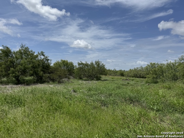 County Rd 4006, Crystal City, Texas image 5