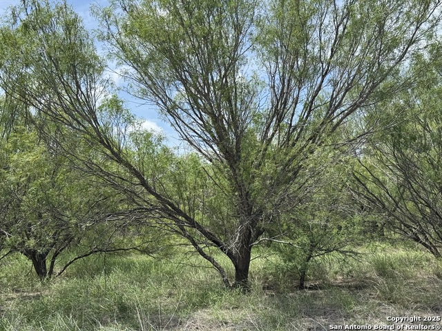 County Rd 4006, Crystal City, Texas image 6