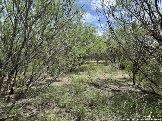 County Rd 4006, Crystal City, Texas image 7
