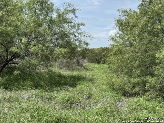 County Rd 4006, Crystal City, Texas image 8