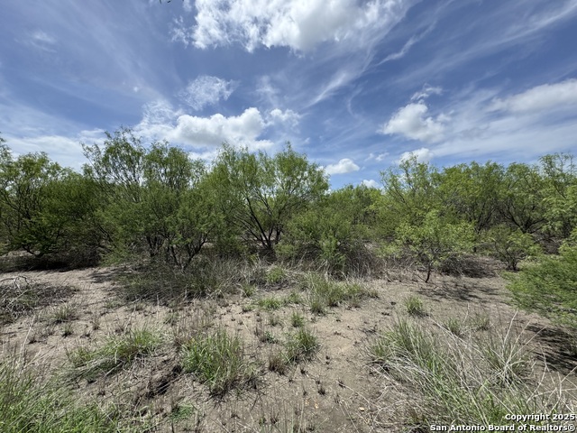 County Rd 4006, Crystal City, Texas image 9