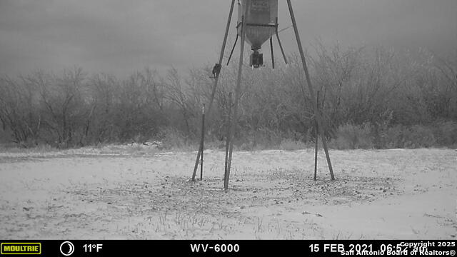 1775 County Road 405, Karnes City, Texas image 15