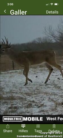 1775 County Road 405, Karnes City, Texas image 16
