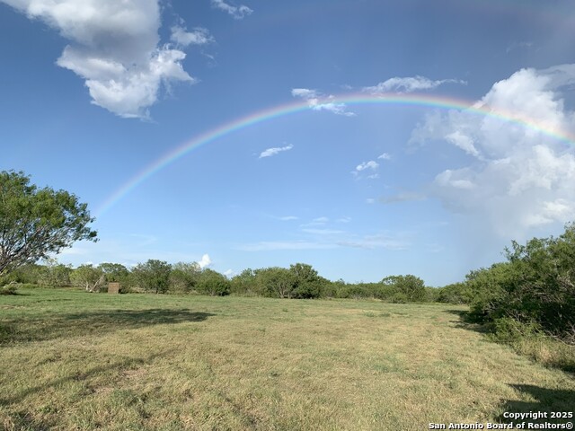 1775 County Road 405, Karnes City, Texas image 2