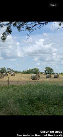 1775 County Road 405, Karnes City, Texas image 21