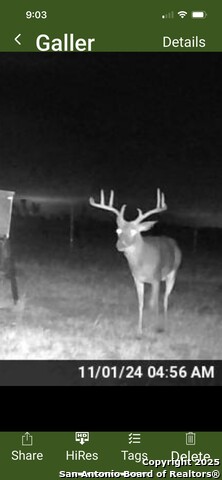 1775 County Road 405, Karnes City, Texas image 23