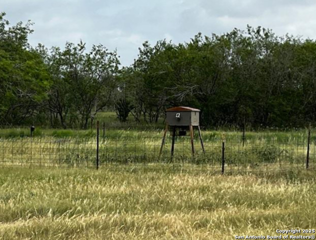 1775 County Road 405, Karnes City, Texas image 25