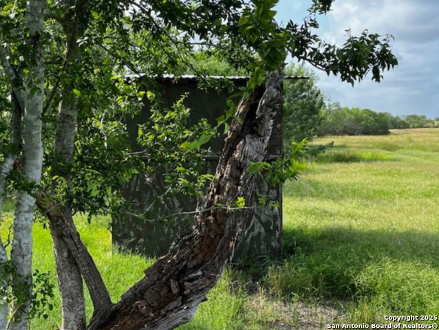 1775 County Road 405, Karnes City, Texas image 29