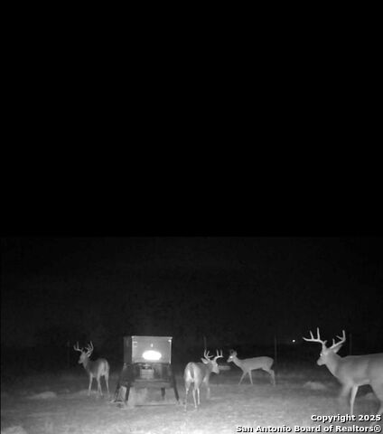 1775 County Road 405, Karnes City, Texas image 3