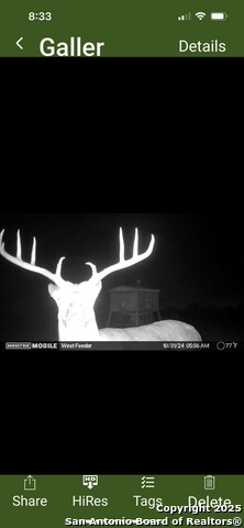 1775 County Road 405, Karnes City, Texas image 30