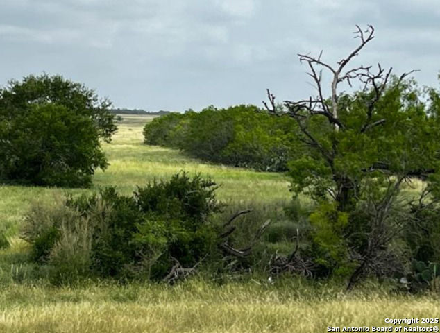 1775 County Road 405, Karnes City, Texas image 31