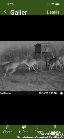 1775 County Road 405, Karnes City, Texas image 33