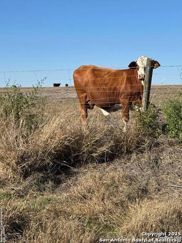 1775 County Road 405, Karnes City, Texas image 35