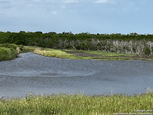 1775 County Road 405, Karnes City, Texas image 4