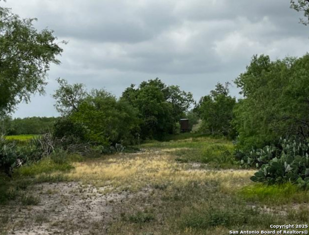 1775 County Road 405, Karnes City, Texas image 47