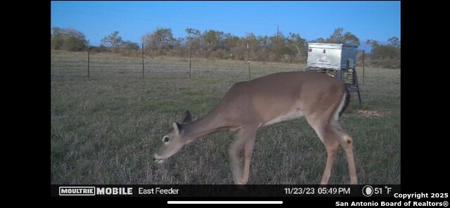 1775 County Road 405, Karnes City, Texas image 49